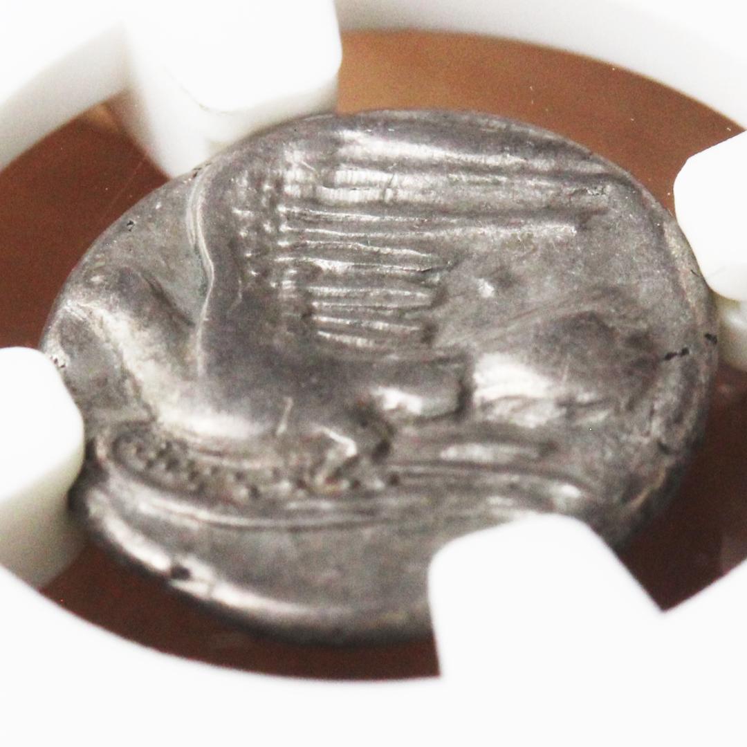 幻獣キマイラ【 VF NGC】シキオン　シキュオン オルボス銀貨　古代ギリシャ