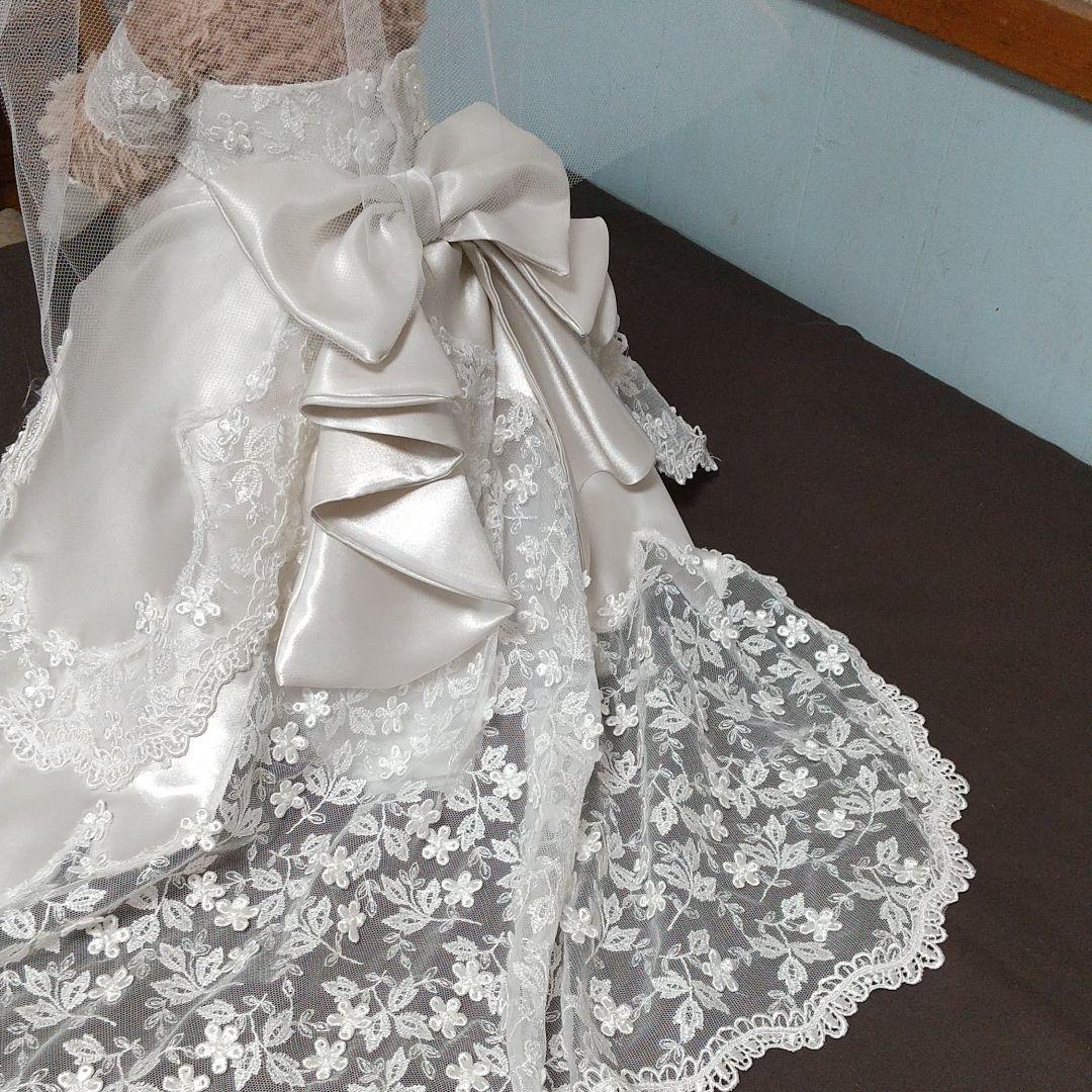 ダッフィー、シェリーメイコスチューム