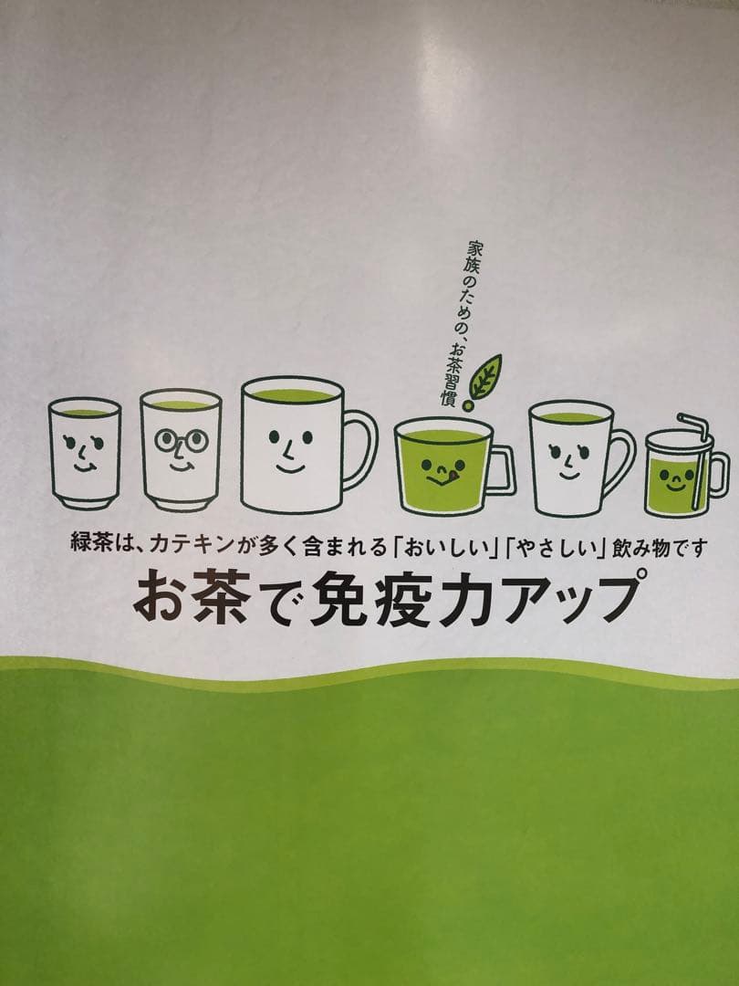 龍さん　100g×10袋 健康長寿の川根茶　農家直売　静岡茶