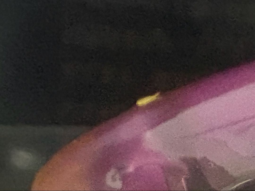 TiNY KLASH Low 長谷川川ピンクver.3 タイニークラッシュ