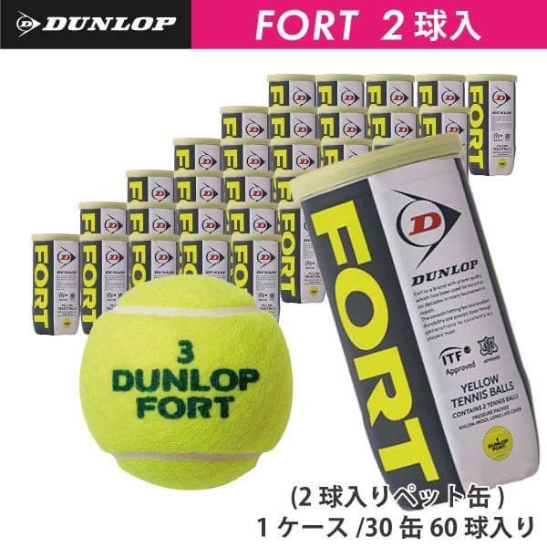 DUNLOP ダンロップFORT フォート 2個入2箱 60缶/120球
