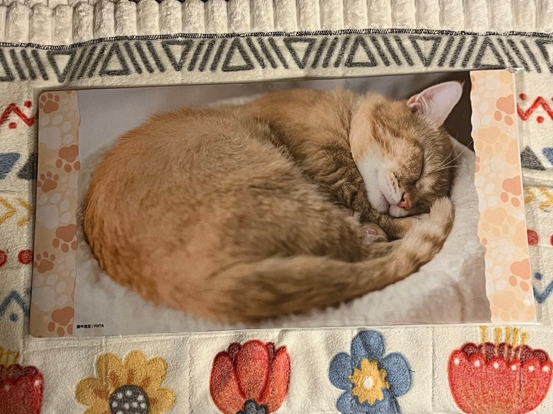 ブロッコリートレカアイテムEX猫これくしょん　ファイナルドロー賞　プレイマット