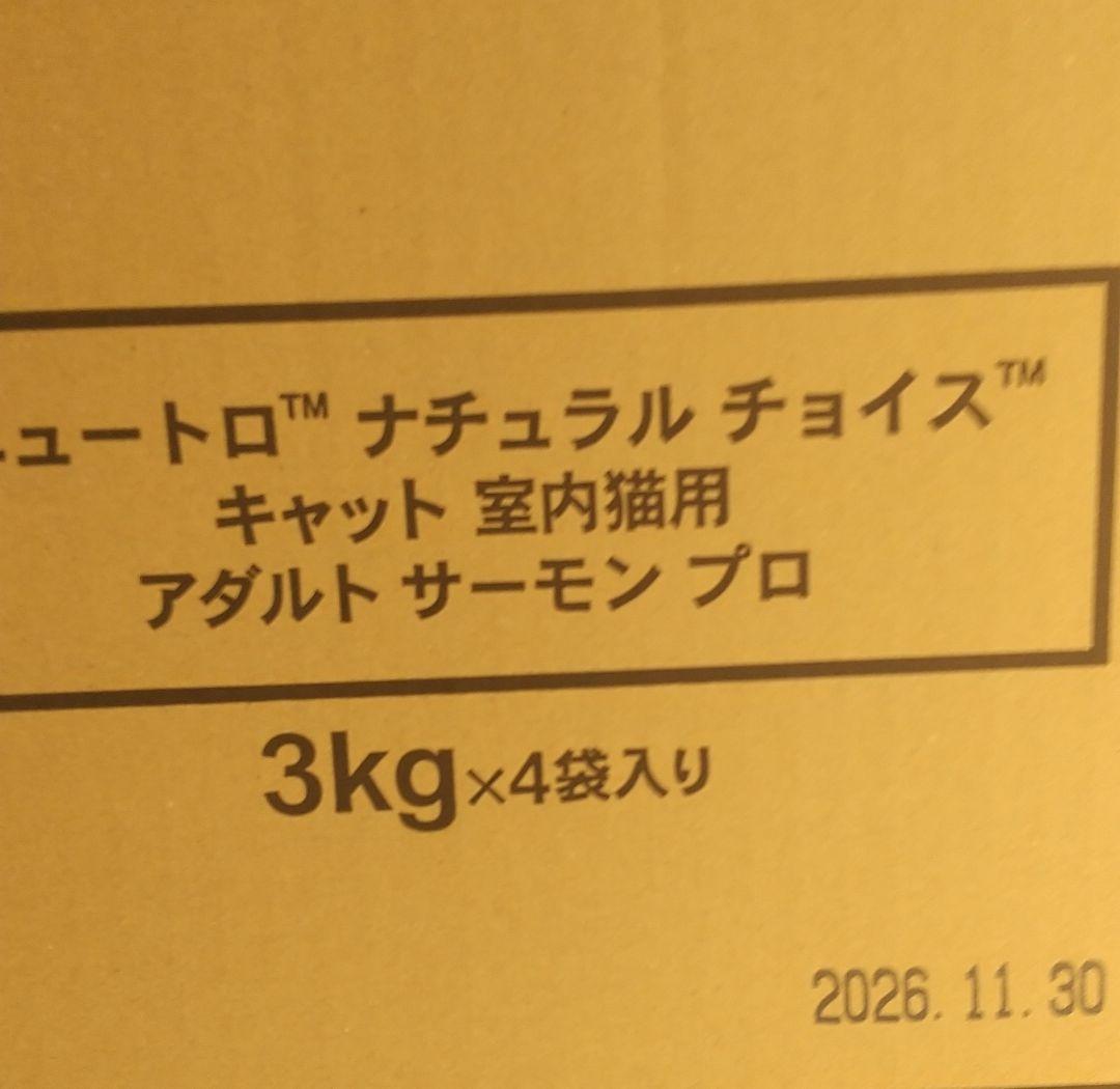 ニュートロナチュラルチョイス室内猫サーモン成猫用プロ