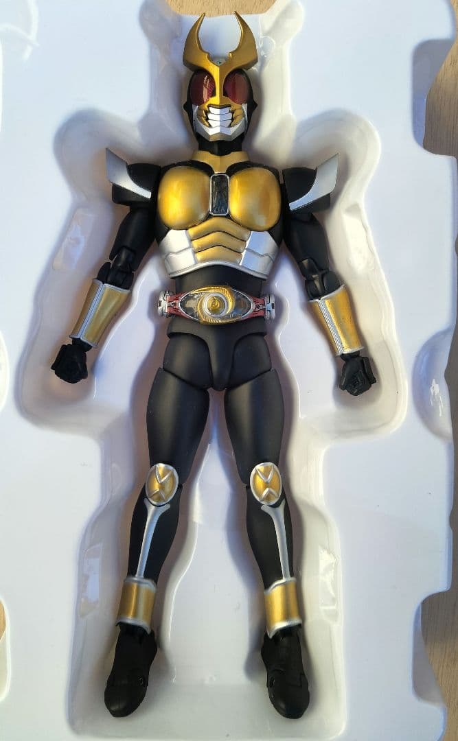 懋懋  エターナル アギト 真骨彫 セット