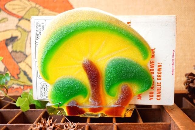希少 Lucite Mushroom ヴィンテージ マッシュルーム 雑貨 キノコ