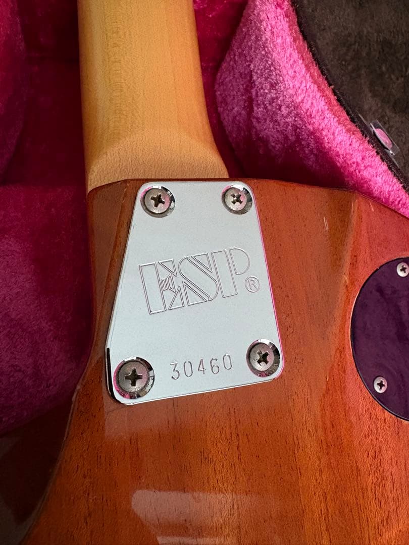 超希少！ESP Eclipse カスタム