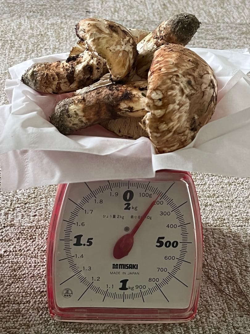 松竹梅　松茸　国産　山口県産　約180g 11月11日10時収穫