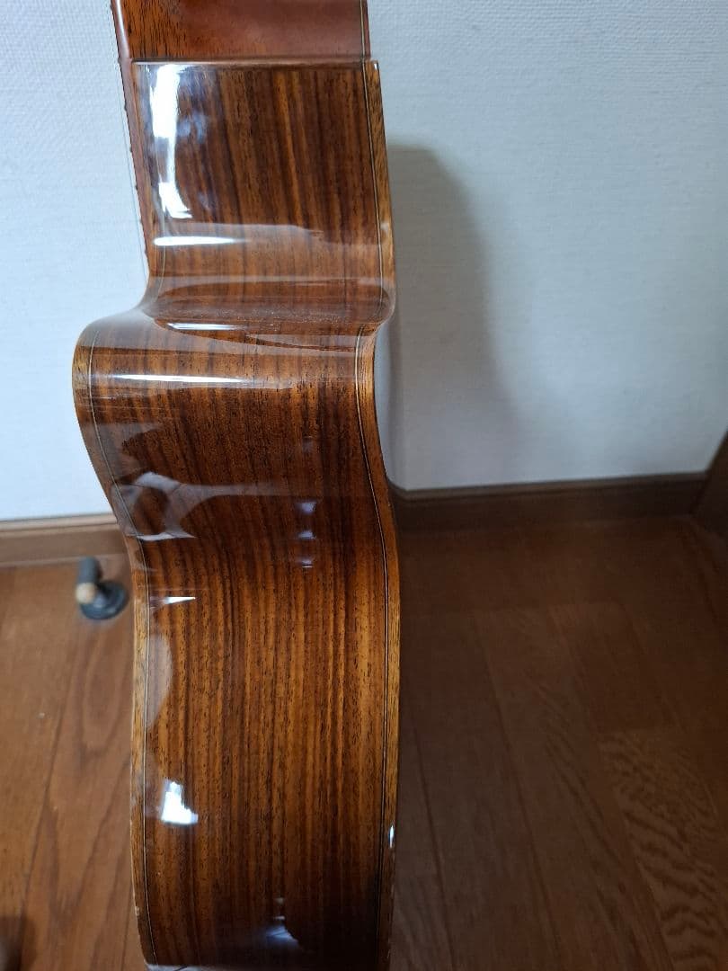 モーリスS101　エレアコ　ケース付き