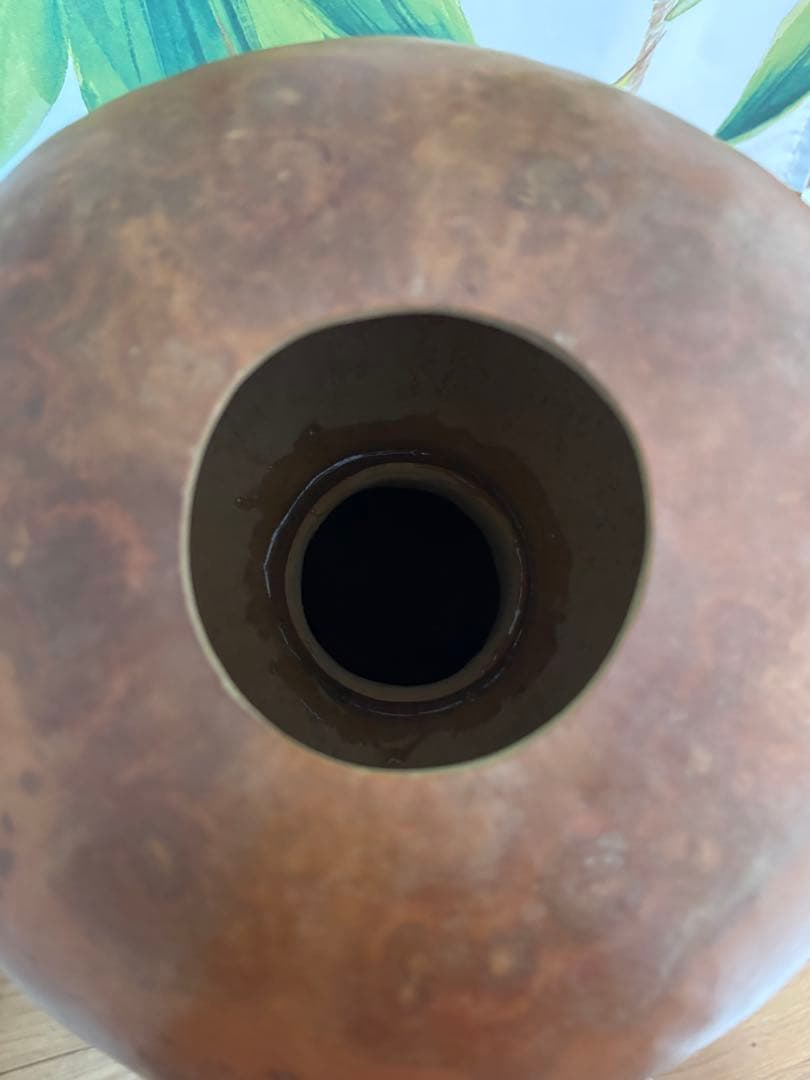 イプヘケ　約60センチ