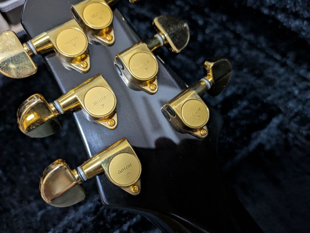 FERNANDES APG 100 24F仕様