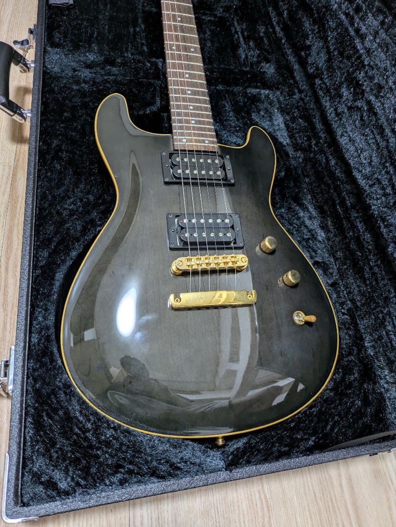 FERNANDES APG 100 24F仕様