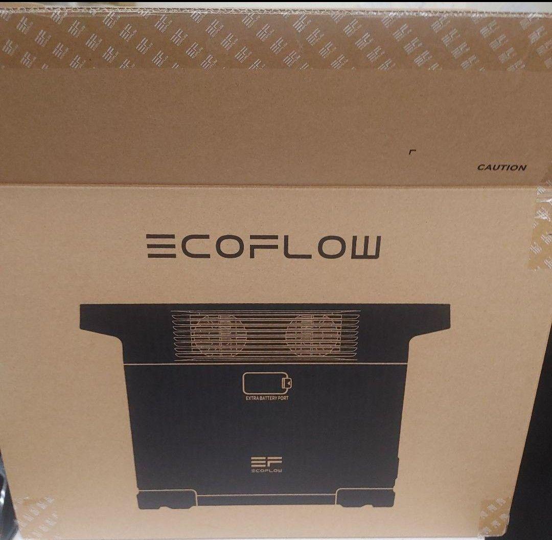 雷*門様 正規整備済品　EcoFlow DELTA 2 ポータブル電源