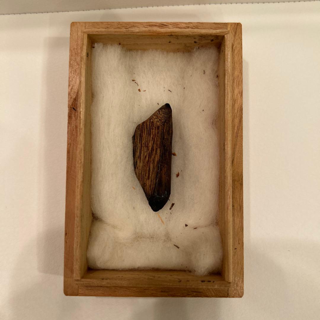 【希少】香木　伽羅香