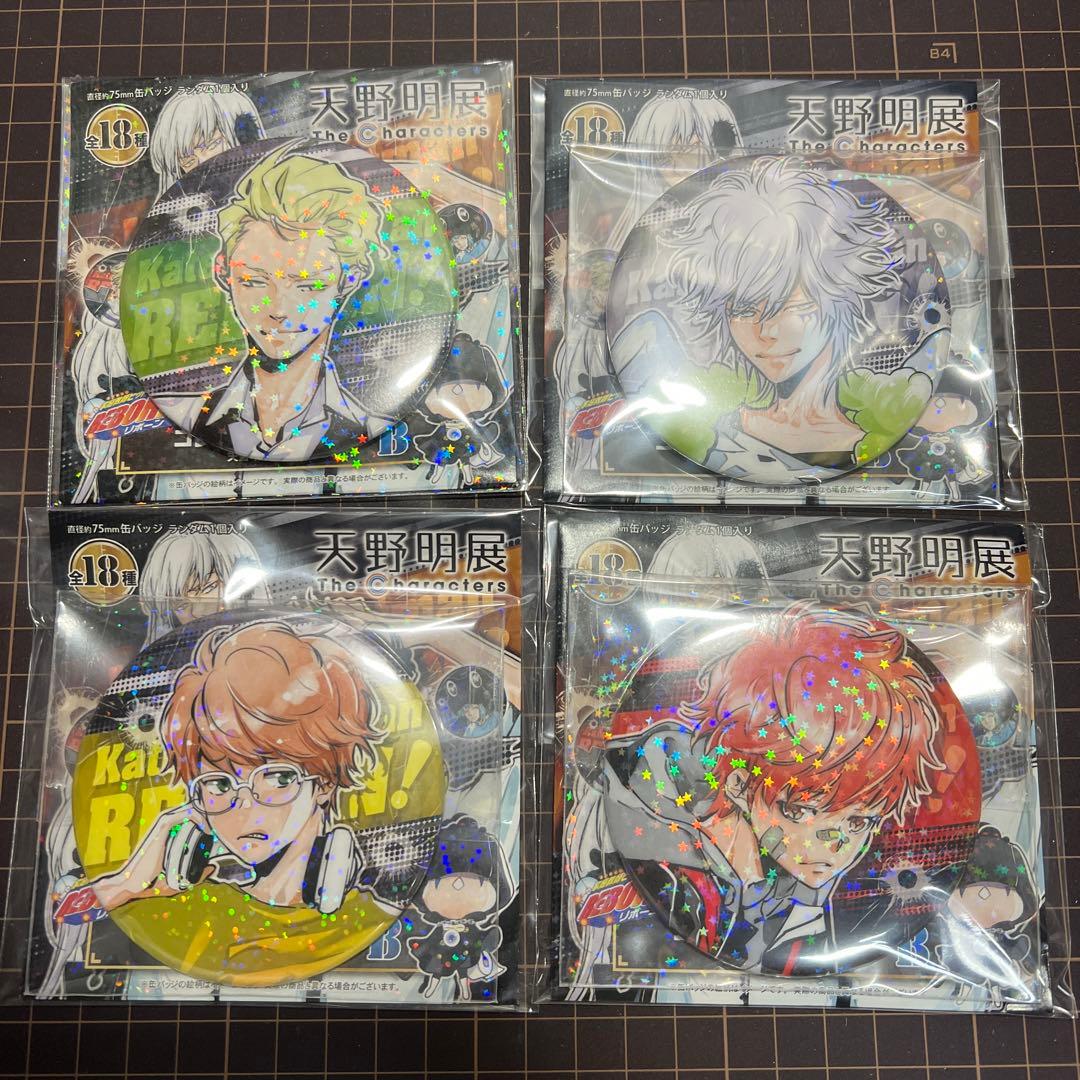 天野明展 家庭教師ヒットマンREBORN!缶バッジver.B 18種コンプリート