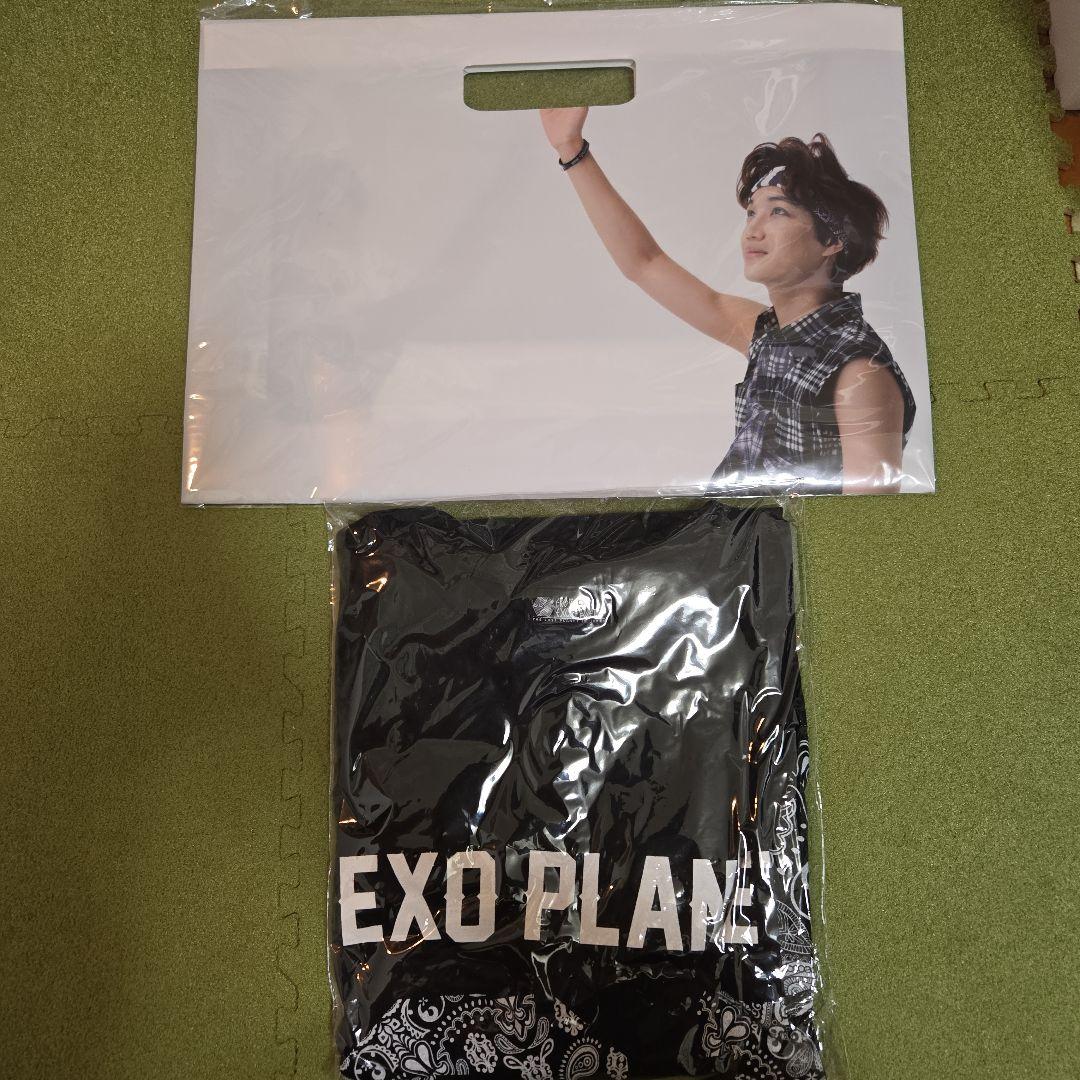 EXO トレカ カイ レイ セフン チャニョル バッジ ファイル Tシャツ58点