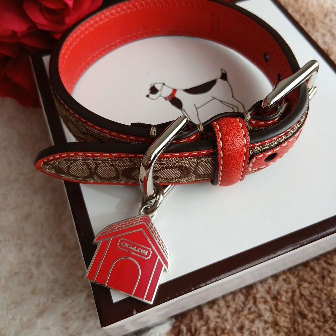 新品　未使用　COACH　コーチ　犬　シグネチャー　首輪　レア　XS　小型犬