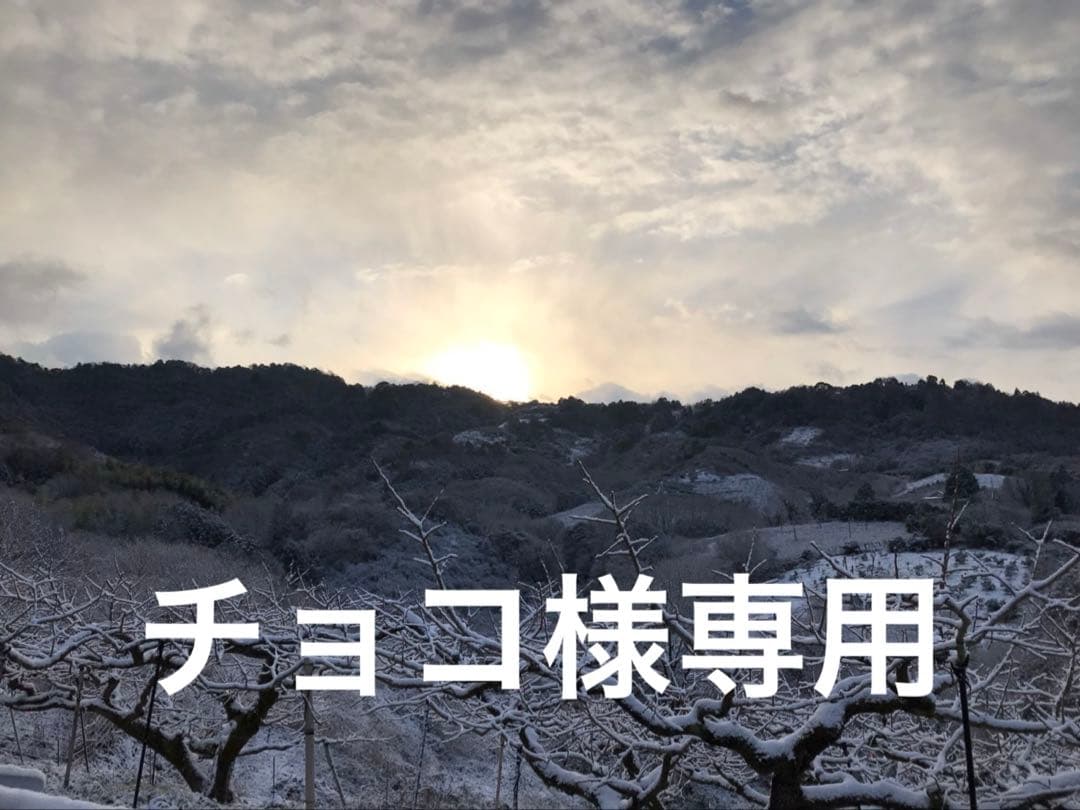チョコ様　和田果樹園の果物　10kg
