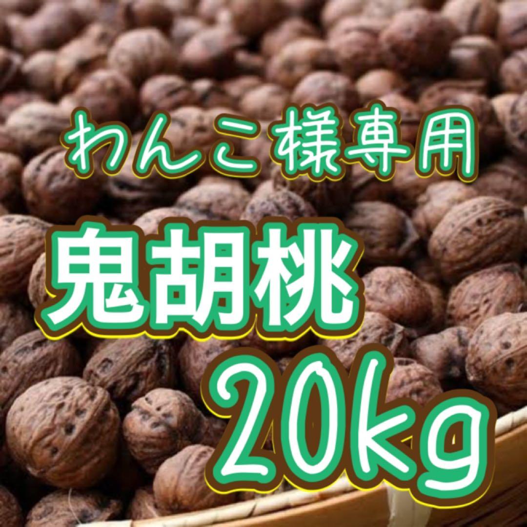 わんこ•*¨*•.¸♬︎