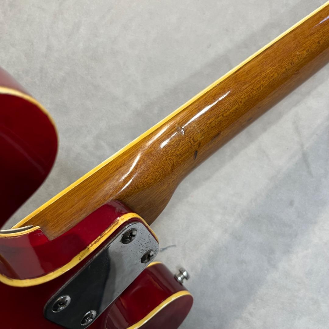 taro takenoko専用　Greco EG-135 1960年代