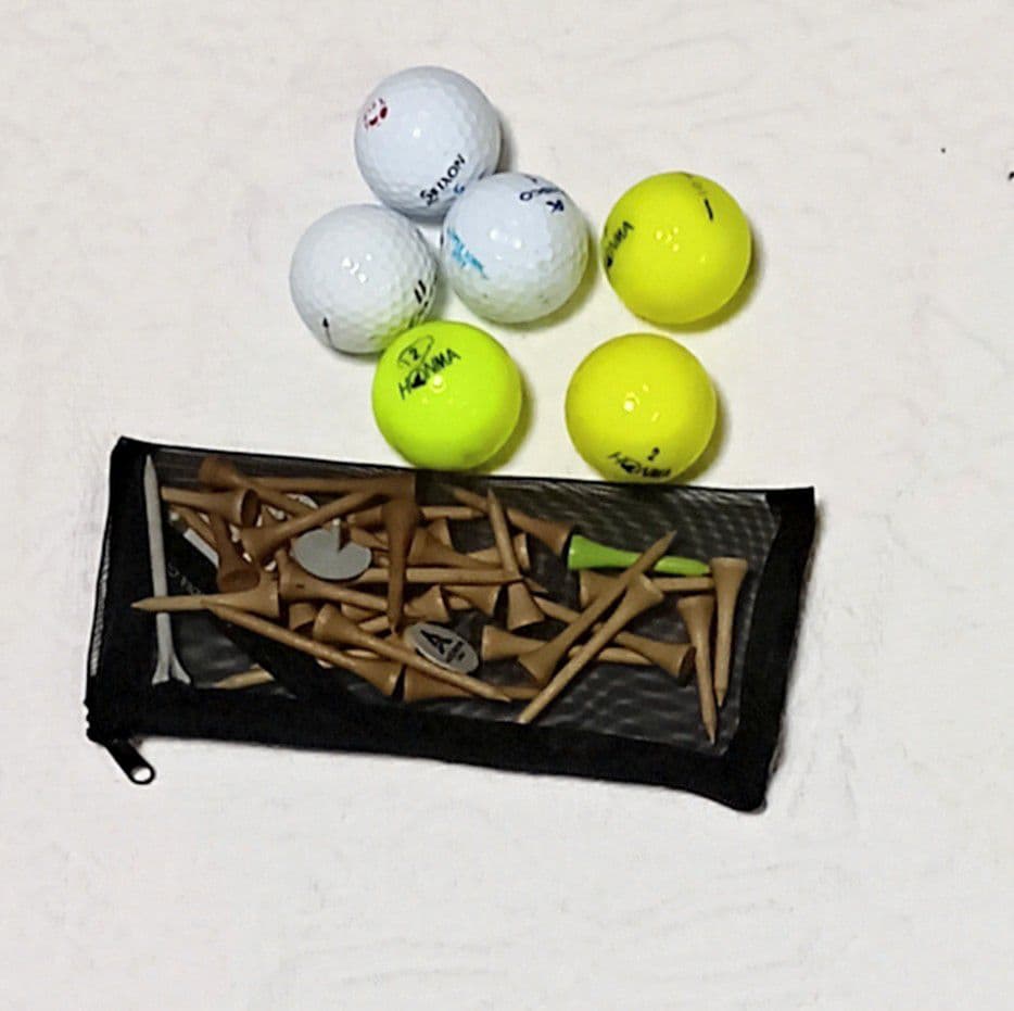 WORLD EAGLE スタンド式ゴルフバッグとクラブセット