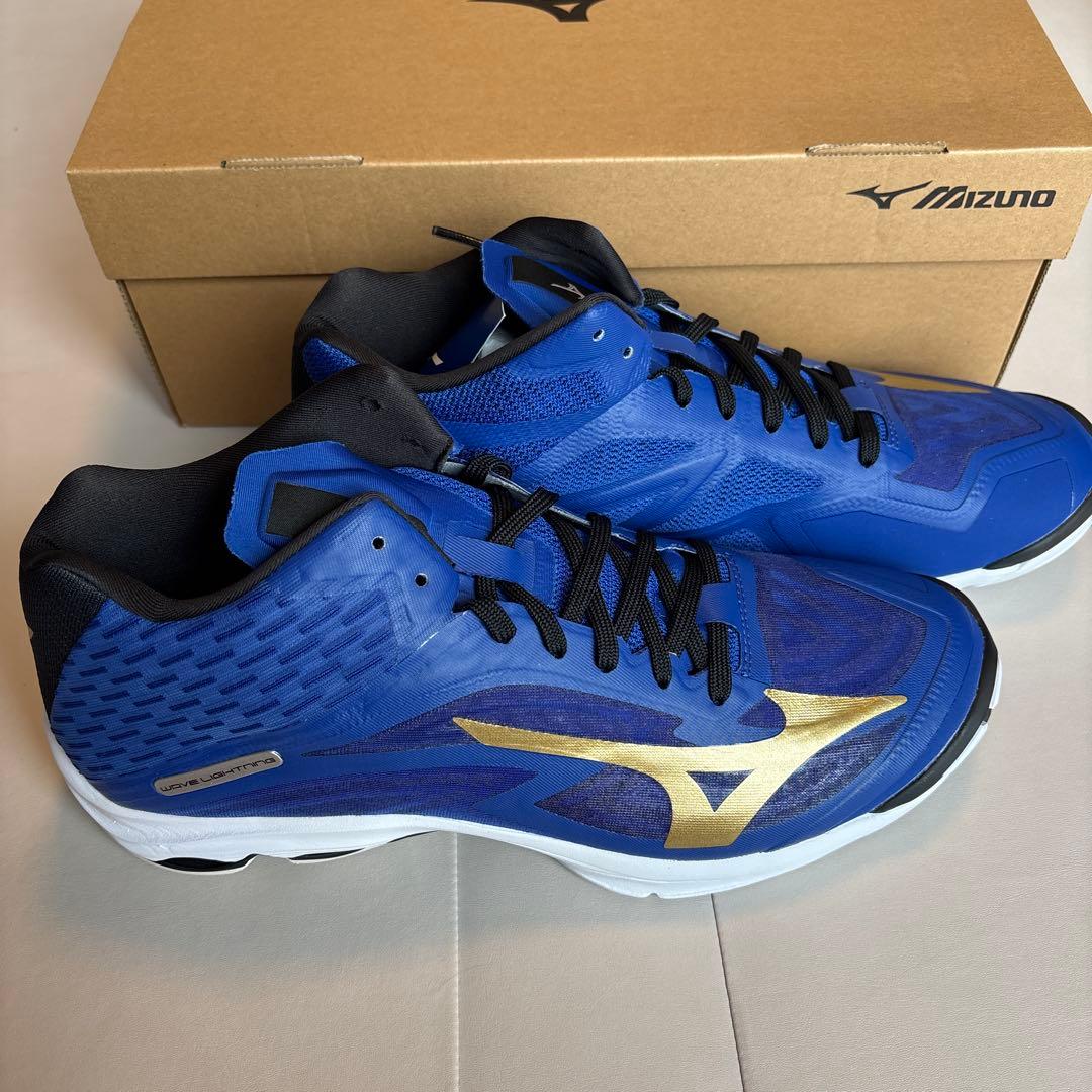 ミズノ バレーボールシューズ 29cm ハイカット