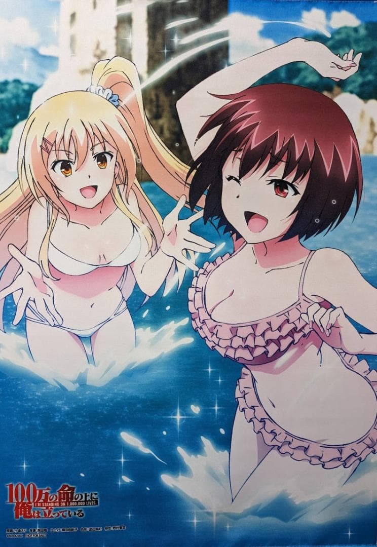 100万の命の上に俺は立っている アニメイト 特典 描き下ろし タペストリー