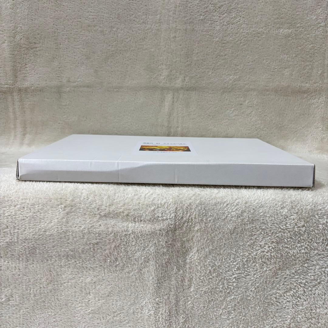 【希少】初音ミク 日本 京都 北野天満宮 アクリルパネル B4 もみじ苑 受注品