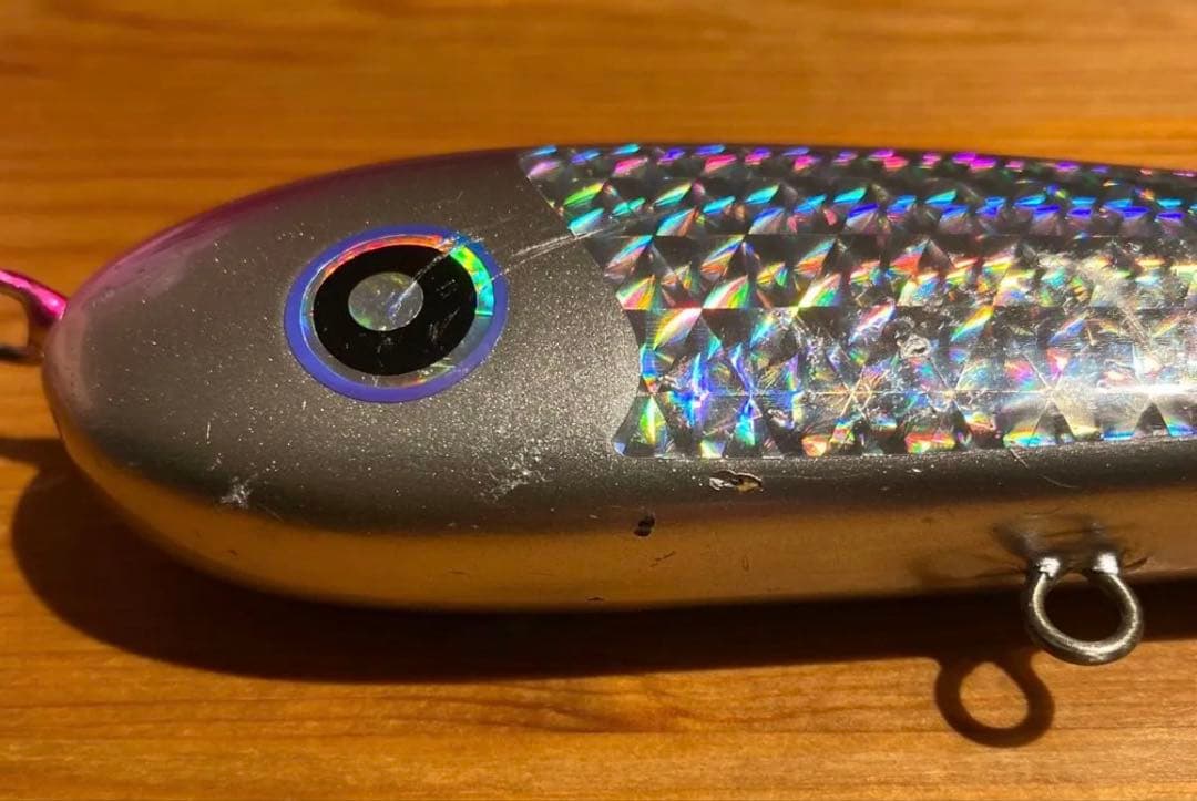 ローカルスタンダード　サージベイト170