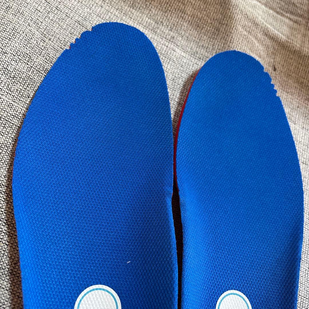 本日鳩ぽっぽさん専用