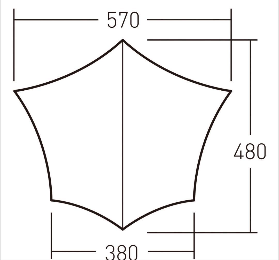 オガワ ogawa システムタープ ヘキサDX オガワ鍛造ペグオマケ付き