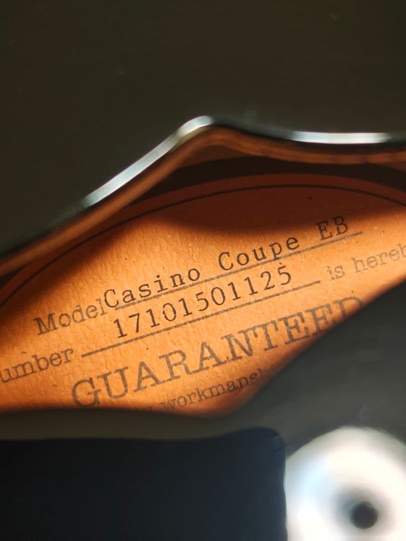 Epiphone カジノクーペ