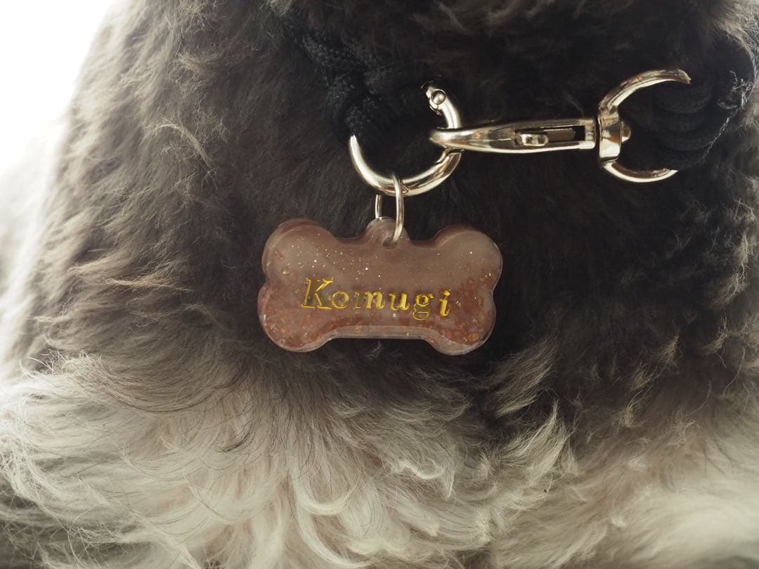 『犬ちゃんオーダー受付』ネームタグ