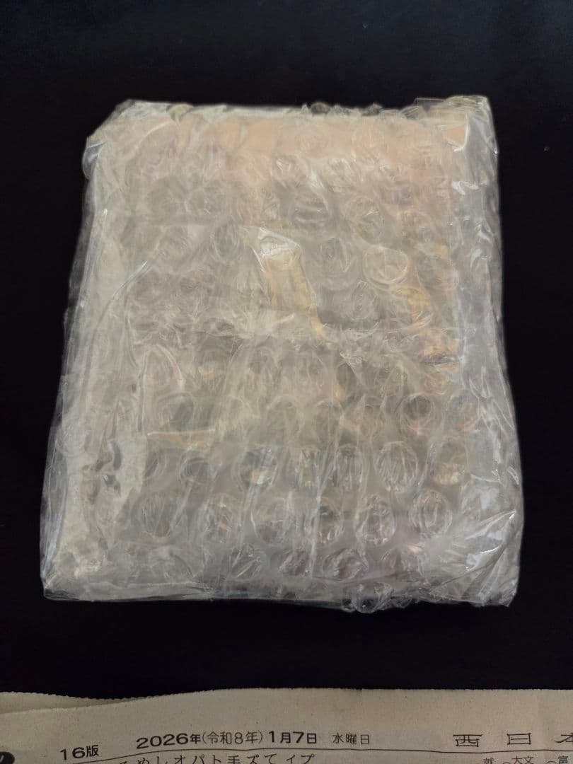 千と千尋の神隠しケース入れ