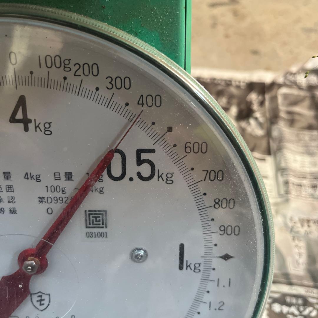 長野県　信州産　松茸　400g 10/9朝採取