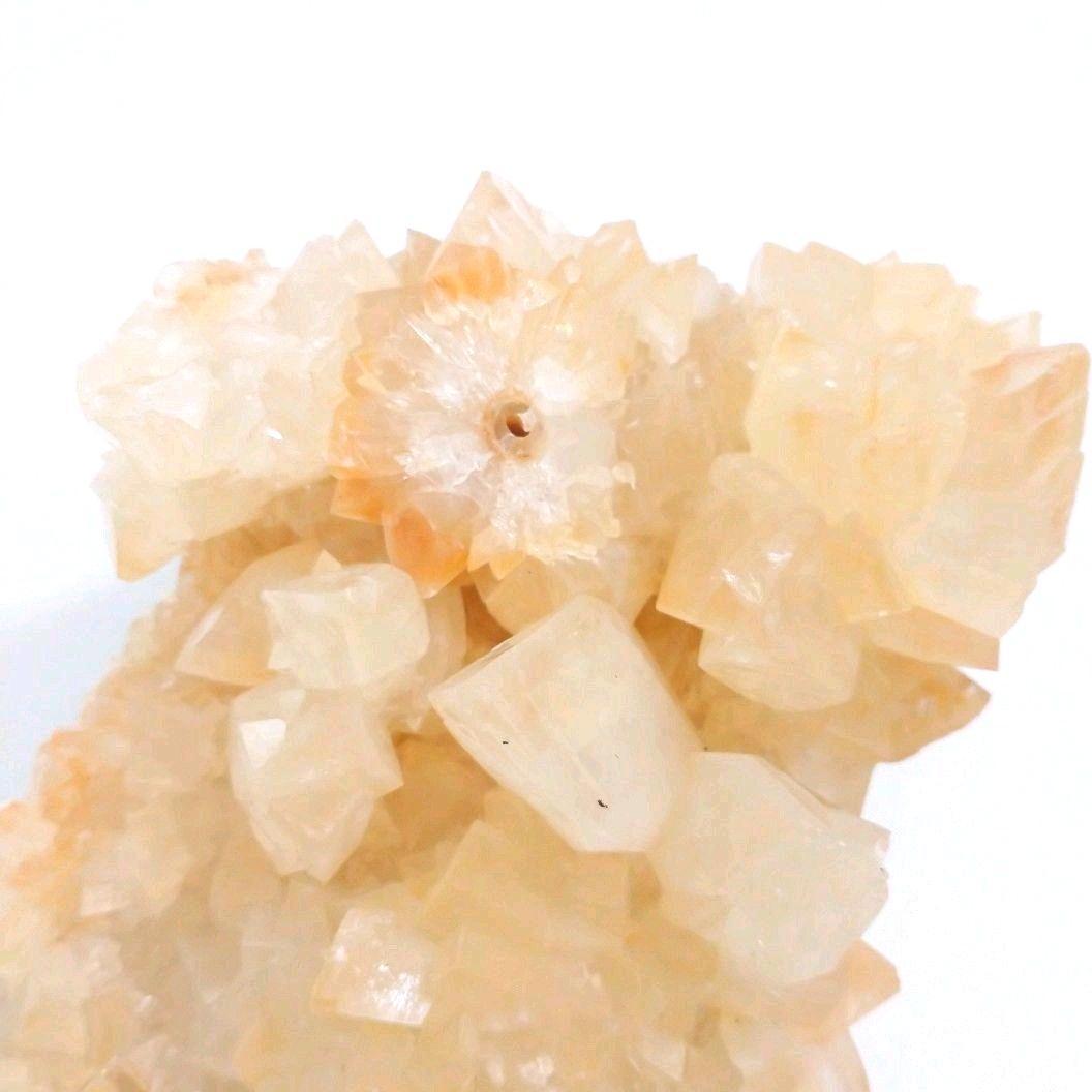 カルサイト 1：超大型品