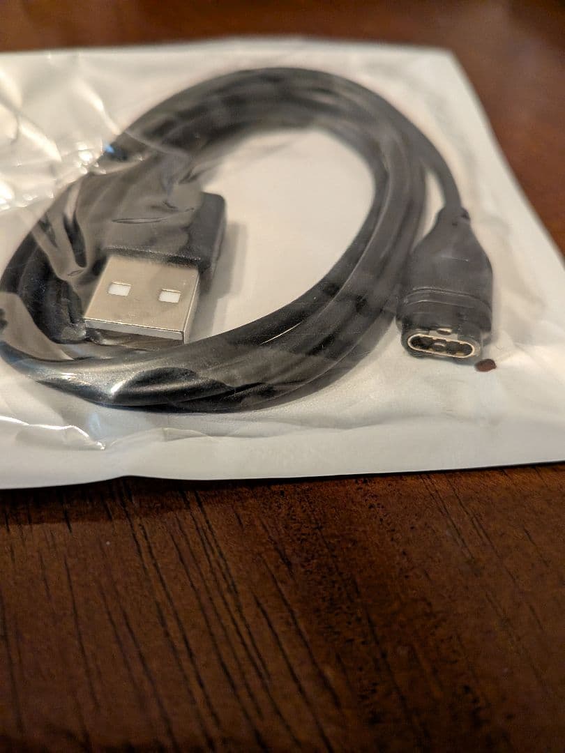 その他 Garmin Forerunner 245