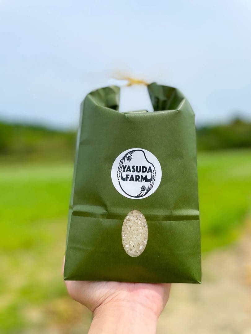 【記念セール】ななつぼし＊北海道産＊農家直送＊送料込み＊美味しいお米＊5キロ×2