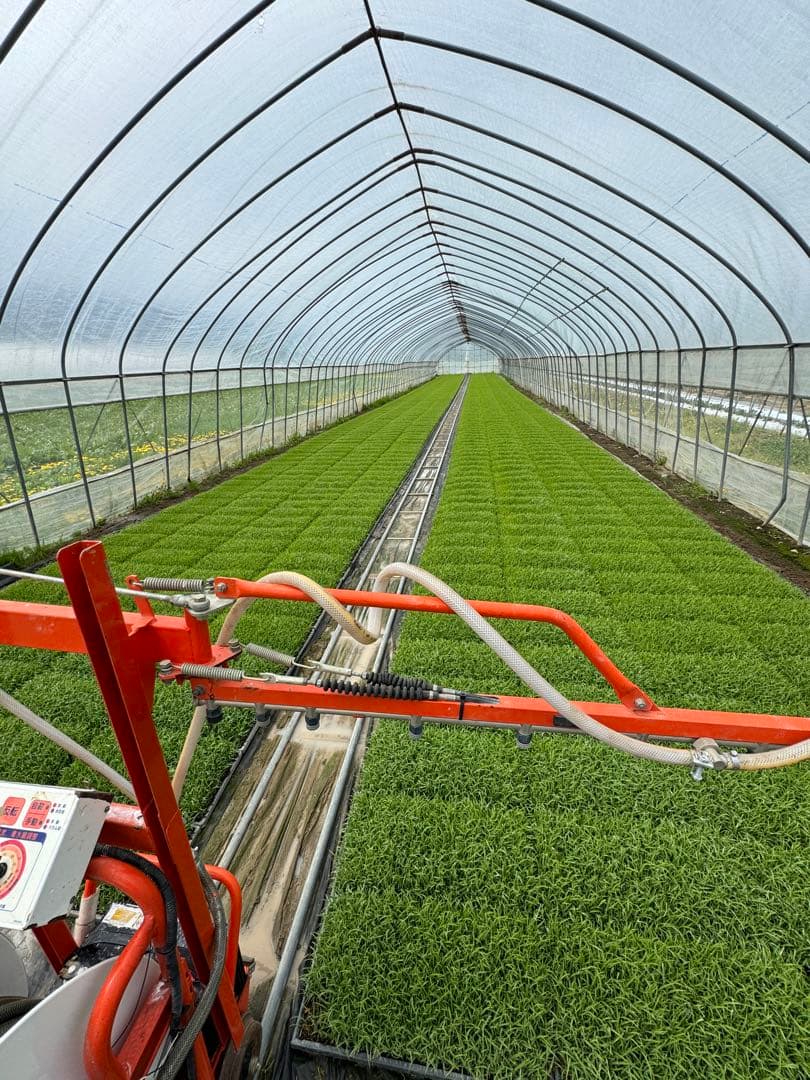 【記念セール】ななつぼし＊北海道産＊農家直送＊送料込み＊美味しいお米＊5キロ×2