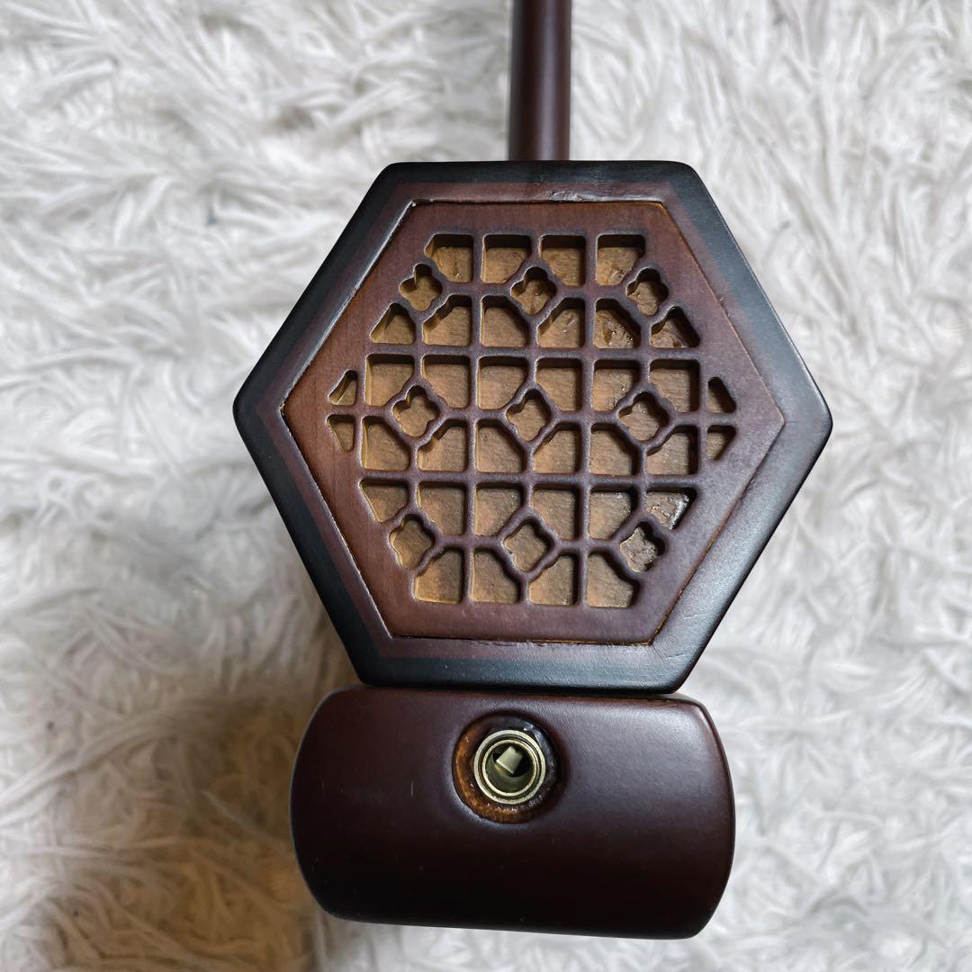 極美品　電気　ニ胡　エレキ　セミハードケース付き