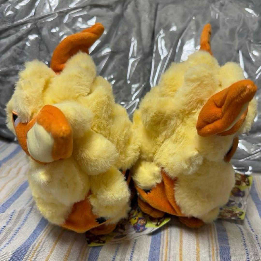 ウインディポンチョのイーブイ　ぬいぐるみ　セット