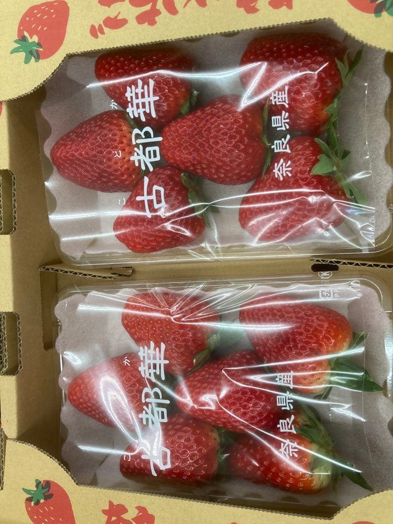 奈良県特産　古都華いちご　10パック