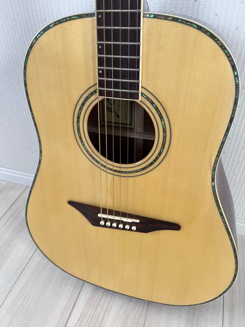 ギター J Lee FJK-850