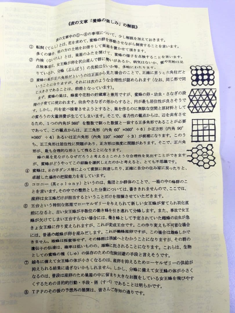 新津養蜂園 八ヶ岳高原線はちみつ ３本セット アカシア さくら クローバー