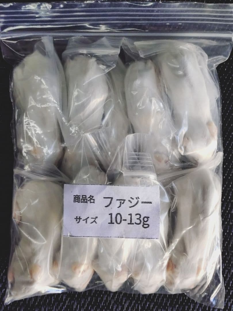 送料無料　冷凍マウスファジー100匹