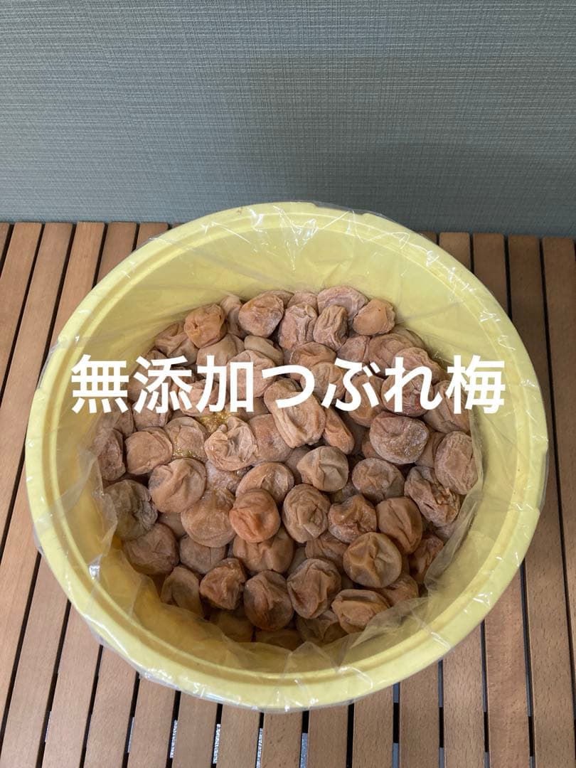 無添加つぶれ梅10kg 白干し梅