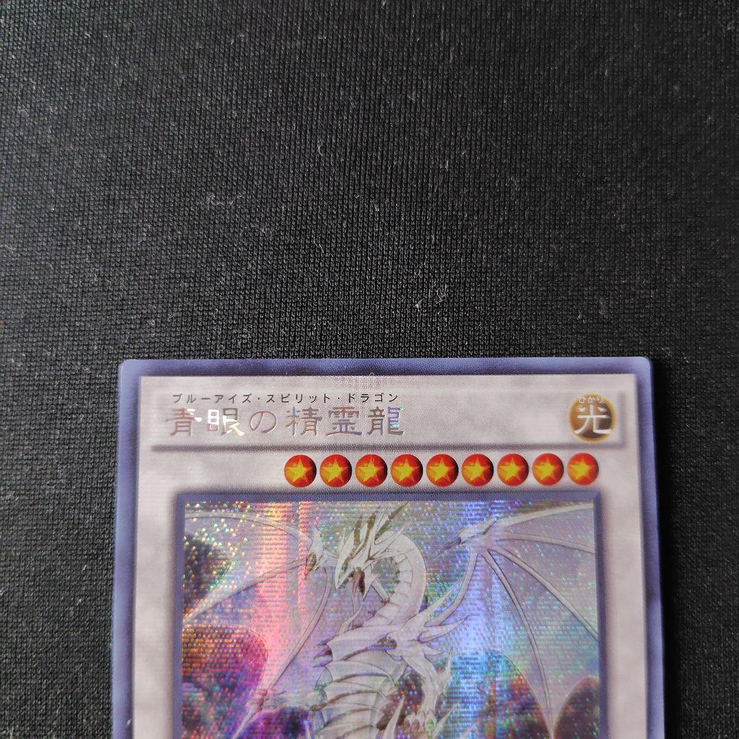遊戯王 青眼の精霊龍 アジアシークレット 1枚 初版 SHVI