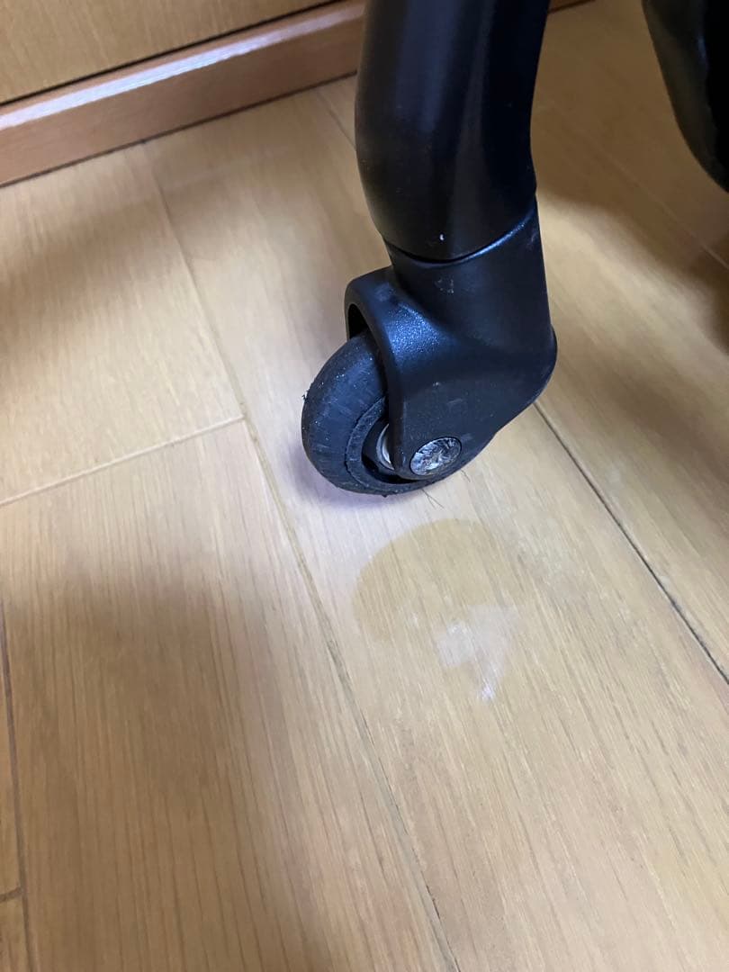 【Mountain Buggy】こどもが乗れるキャリーケース