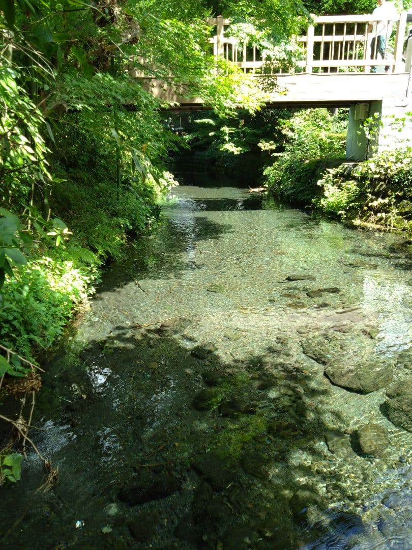 1 令和7年 自然栽培米 亀の尾20kg精米