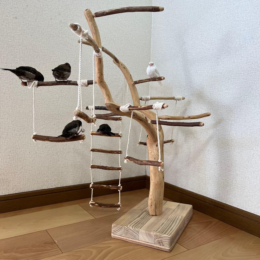 【小鳥用】わぃわぃ楽しい♬ブランコ&ハシゴ付 バードアスレチック
