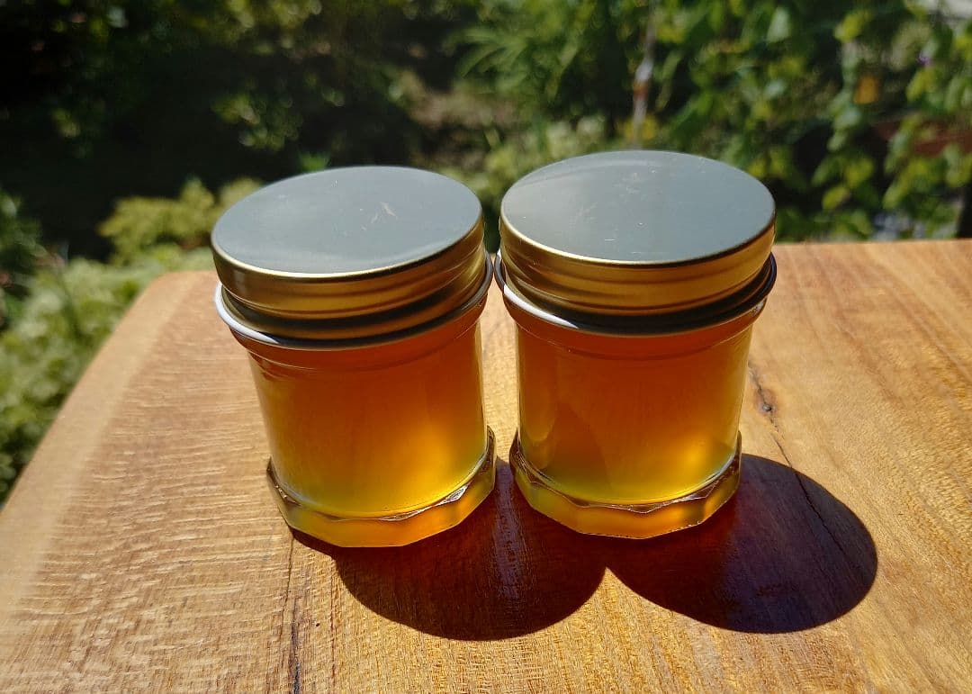 日本ミツバチ蜂蜜（600g✕2）食べ比べ